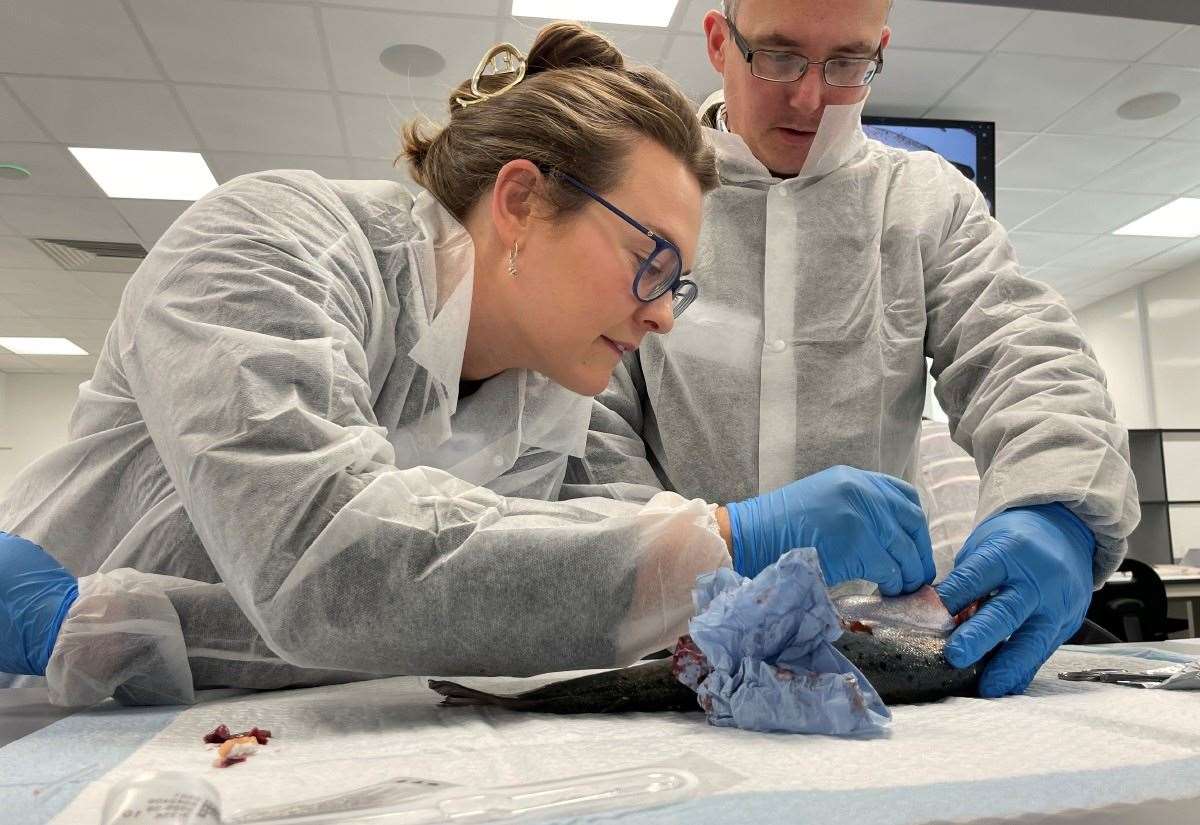 Inverness Veterinary Centre Opens Doors for Public Engagement